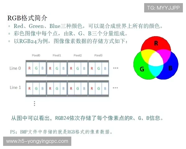 深入分析PK10走势规律 揭示数据背后的投注技巧与策略